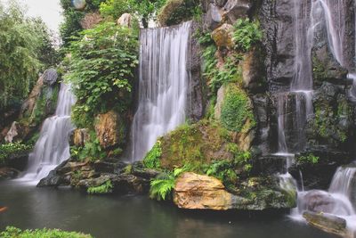 Scenic view of waterfall in forest