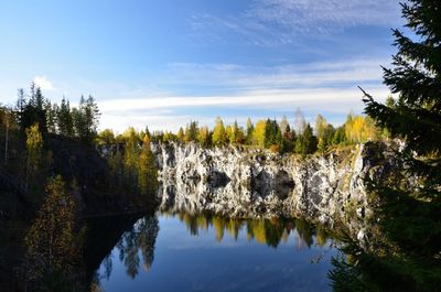 Scenic view of trees against sky