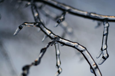 Close-up of bicycle on metal