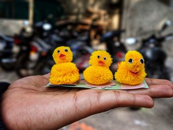 Close-up of hand holding yellow bird against blurred background