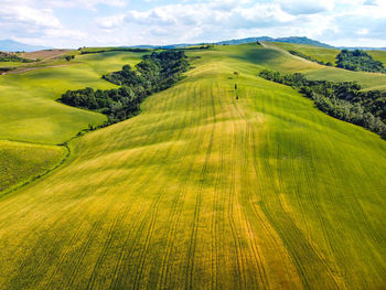 Scenic view of grassy field against sky