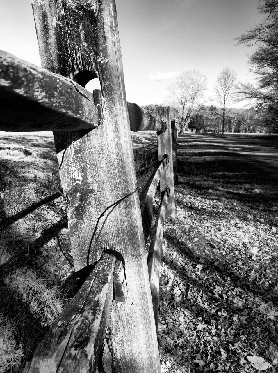 wood - material, tree, field, wooden, sky, fence, wood, grass, landscape, tree trunk, sunlight, log, tranquility, day, rural scene, nature, outdoors, growth, old, no people