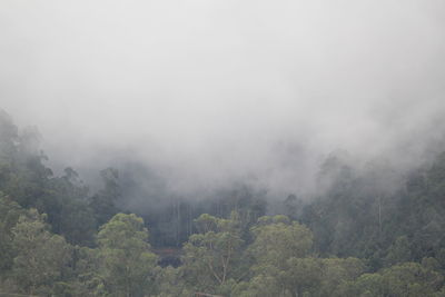 Scenic view of trees and mountains against sky