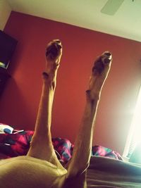 Low section of man relaxing at home