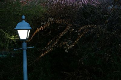 Street light in garden