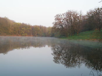 Reflection of trees in water