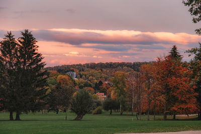 Trees on field against sky during sunset