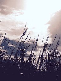 Scenic view of landscape against sky at sunset