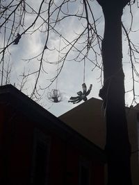 Low angle view of silhouette cat on building against sky