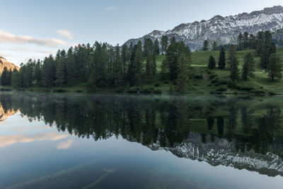 Reflection of trees in calm lake