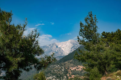 Scenic view of tree mountains against blue sky