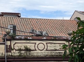 architecture