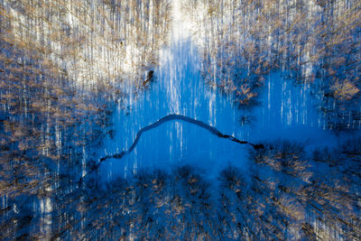 Aerial view of trees on snow covered land during winter