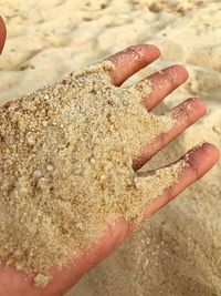 Close-up of hand holding crab on sand