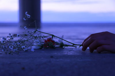 Close-up of hand holding flowers on table