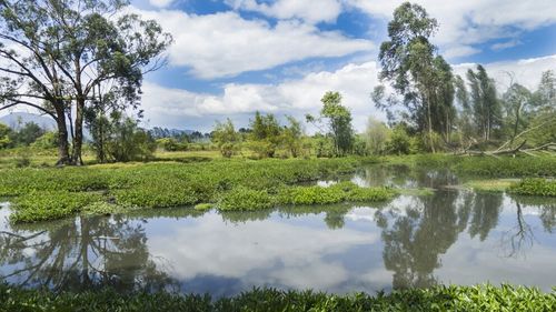 Scenic view of lake against cloudy sky