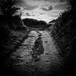 Scenic view of landscape against cloudy sky