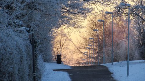 Snow covered landscape