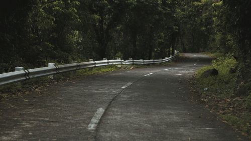 Road amidst trees in forest