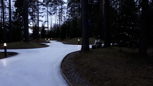 Trees on snow covered land at night