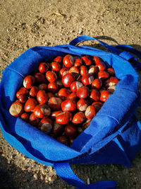 High angle view of cherries in container