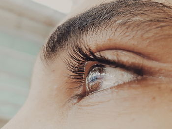 Close-up of human eye