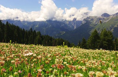 Scenic view of mountains against sky