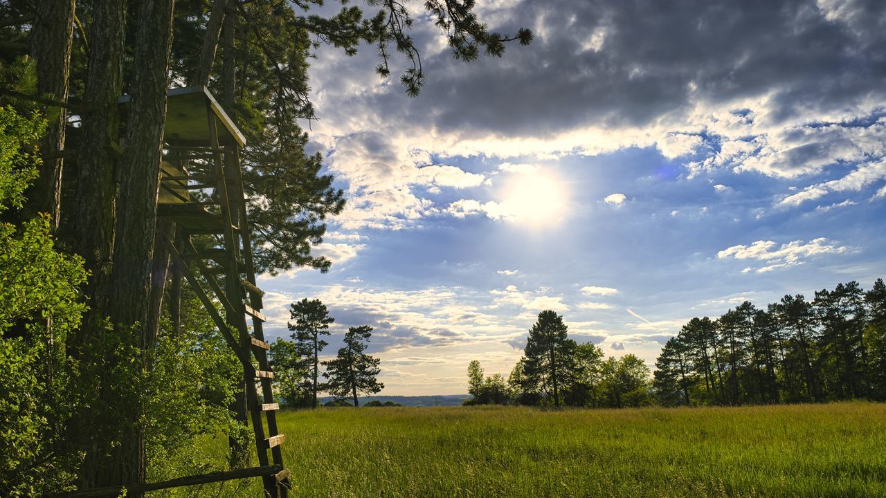 SCENIC VIEW OF LAND AGAINST SKY