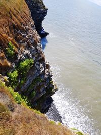 High angle view of rocks on beach