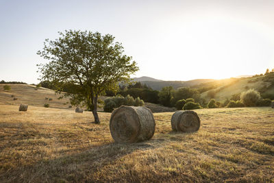 Hay bales on field against sky