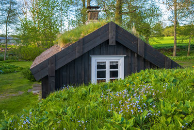Old cottage with a grass roof and flowering forget-me-not flowers
