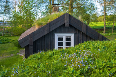 Plants growing on field by building