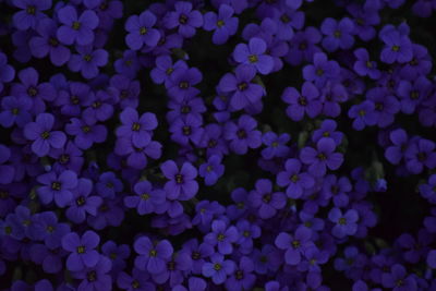 Full frame shot of blue lights