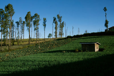 Scenic view of farm against blue sky