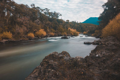 Scenic view of river amidst trees against sky