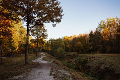 Scenic view of forest against sky during autumn