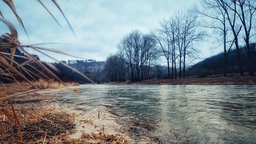 Bare trees by river against sky during winter