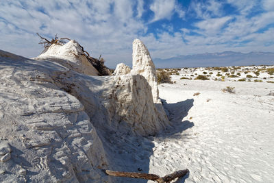 Driftwood on beach against sky