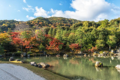 autumn