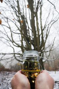 Cropped hands holding jar with illuminated string lights against bare trees during winter