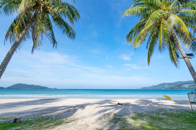 Scenic view of palm trees on beach against sky