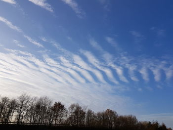 Low angle view of silhouette trees against blue sky