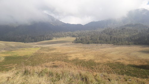 Scenic view of landscape against sky