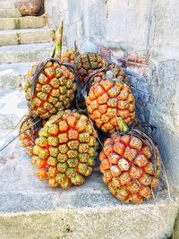 Close-up of fruits on wall