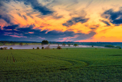 Scenic view of field against sky during sunset