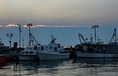 Boats in harbor