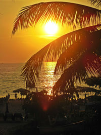 Silhouette palm trees at beach during sunset