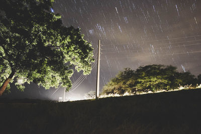Low angle view of trees against sky at night
