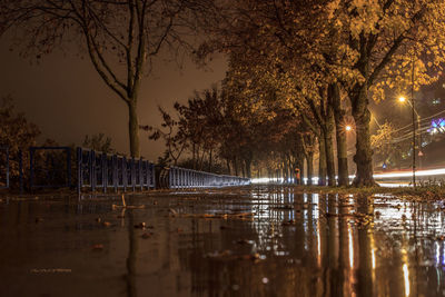 Illuminated trees by lake against sky at night