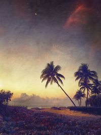 Palm trees at sunset